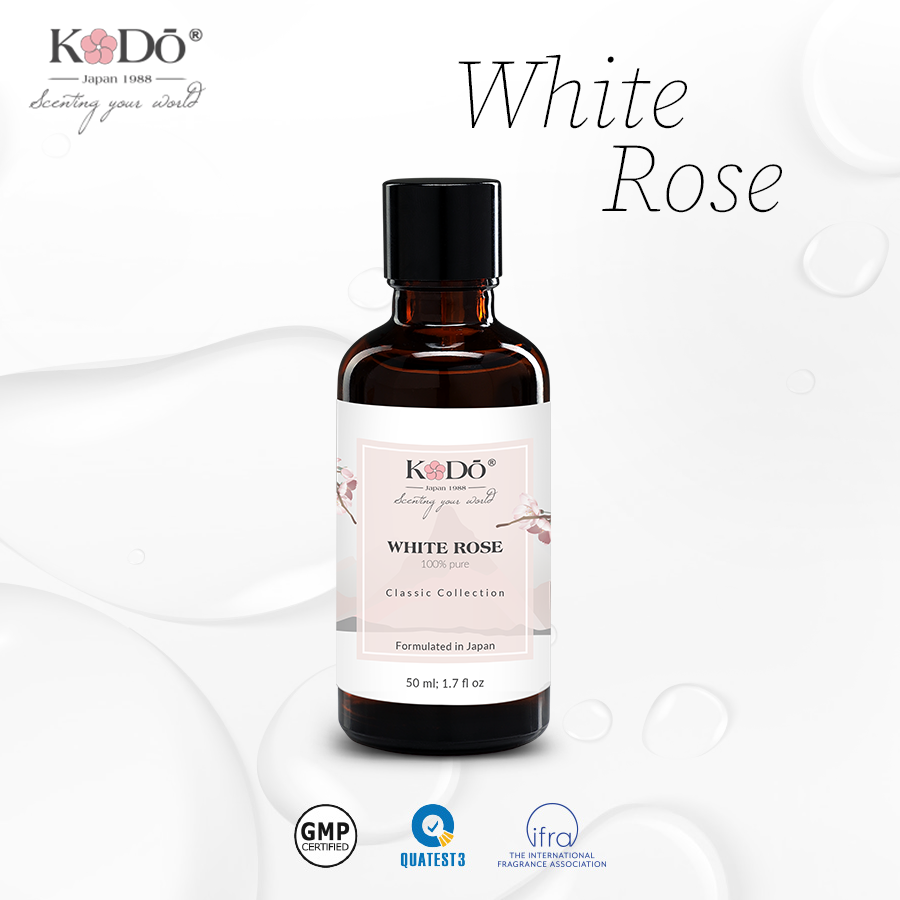 White rose_06