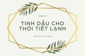 Tinh dầu cho thời tiết lạnh