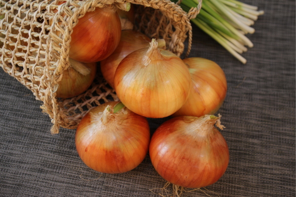 cách khử mùi sơn gỗ 6