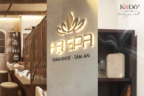 Cho thuê máy khuếch tán tinh dầu 2