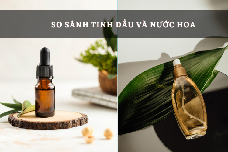 So sánh tinh dầu và nước hoa