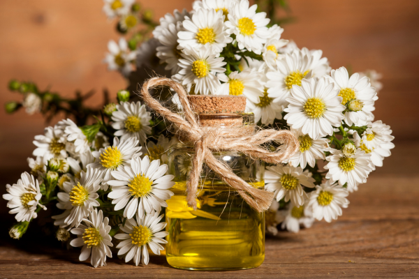 tinh dầu xông mặt 7