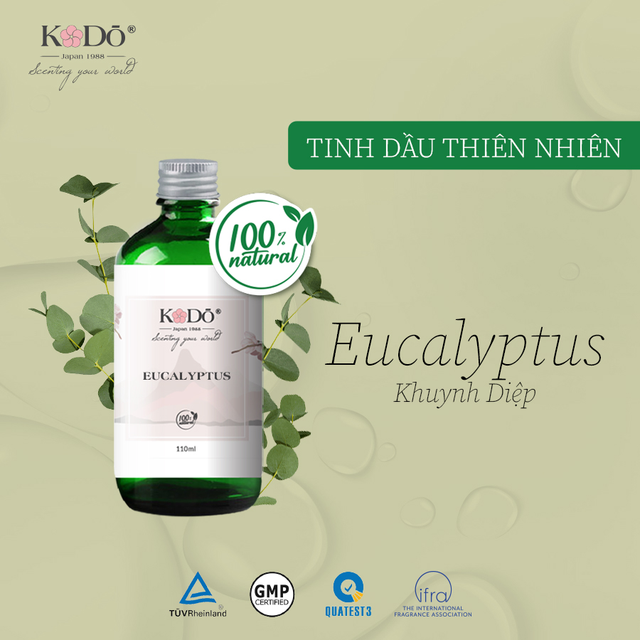 tinh-dau-khuynh-diep