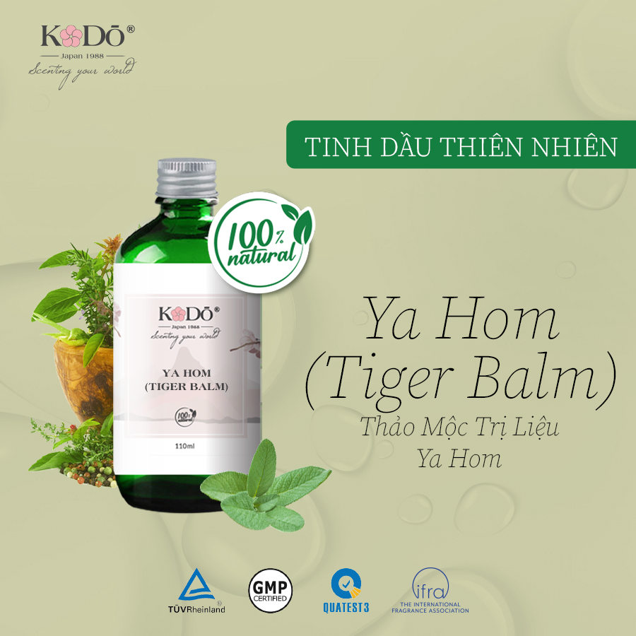 tinh-dau-thao-moc-tri-lieu-ya-hom