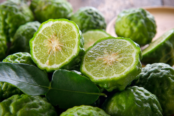 bergamot là gì 1
