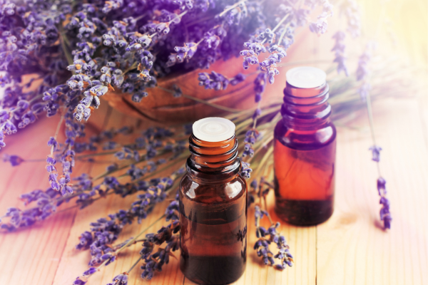 How to make lavender essential oil 2