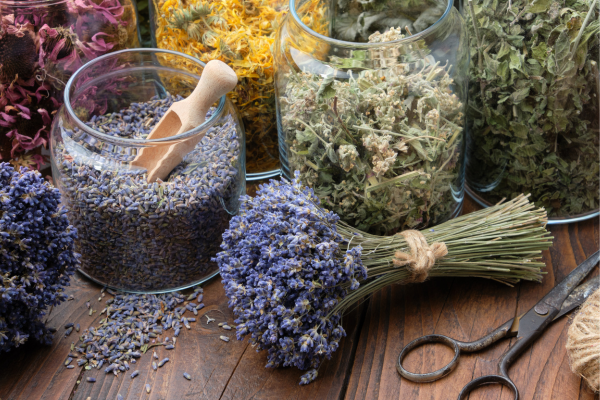 How to make lavender essential oil 5