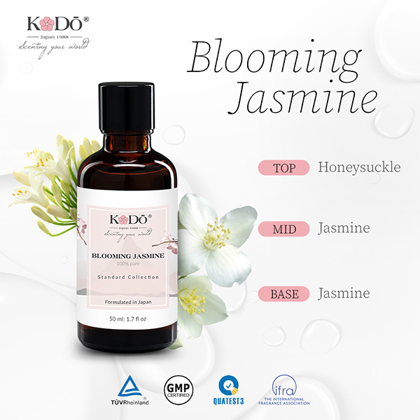 có nên xông tinh dầu trong phòng ngủ 6