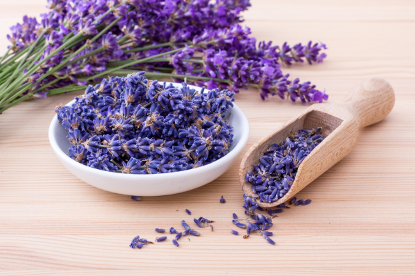 lavender là gì