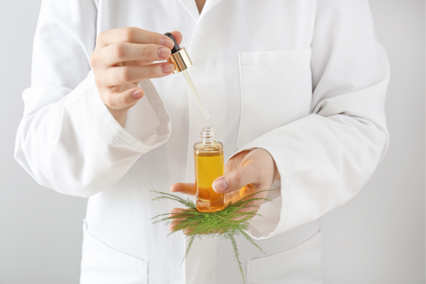 phân biệt tinh dầu tràm trà và tràm gió 4