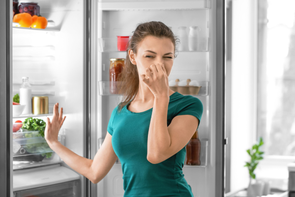 cách khử mùi tủ lạnh 2